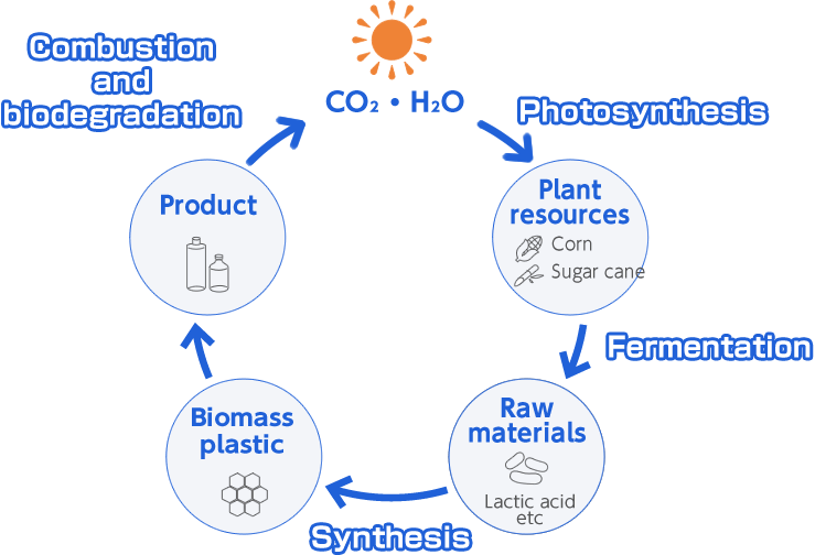 carbon neutral