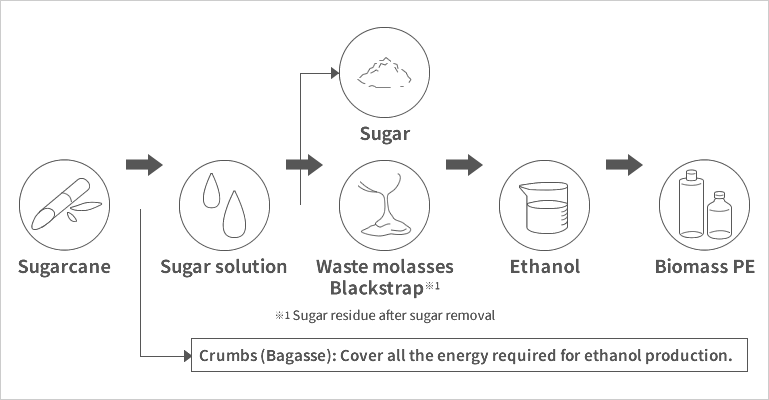 sugarcane-derived polyethylene