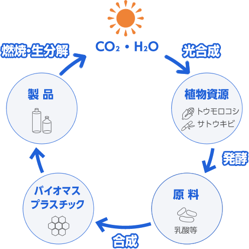 カーボンニュートラル