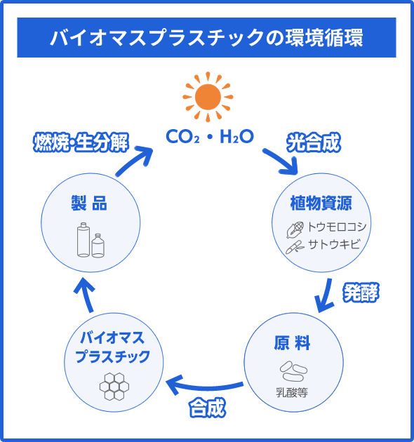 バイオマスプラスチックの環境循環